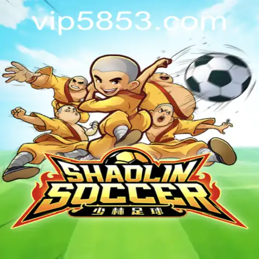 Discovering the World of ShaolinSoccer